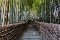 51 Arashiyama, adashino nenbutsu-ji tempel